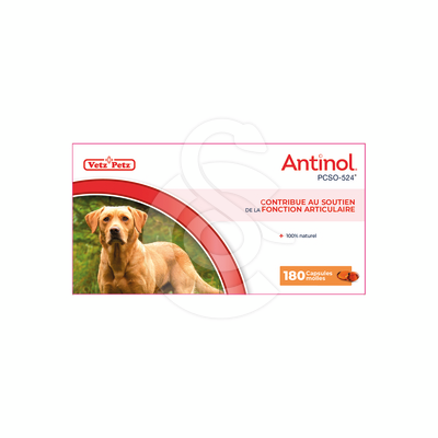 Antinol chien