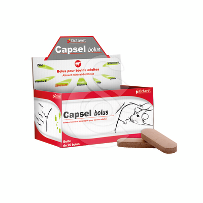Capsel