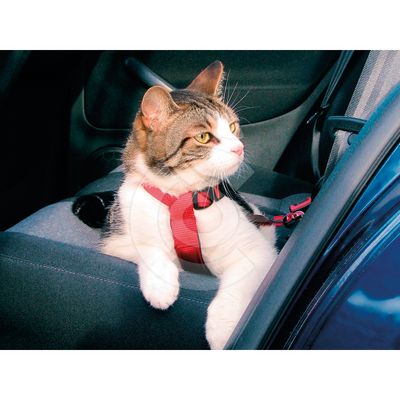 Harnais de sécurité voiture Trixie pour chat